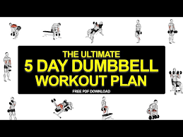 ultimate 5 day dumbbell workout plan