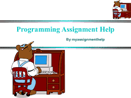 Programming Assignment Help   Programming Homework help Assignment   EssayShark