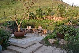 Indigenous South African Garden Images