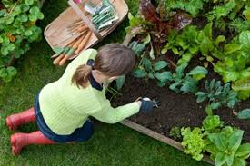 Financial Benefits Of Gardening