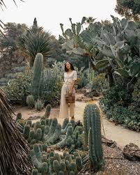 Arizona Cactus Garden A Guide To San