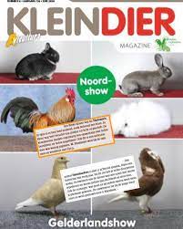 Thrianta- en Hulstlander Club - In Kleindier Magazine nummer 6 staan de  verslagen over de konijnen keuringen op de Noordshow. Van veel rassen staat  een paar regels met de bijzonderheden tijdens de