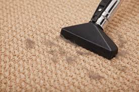 sterling carpet care ltd