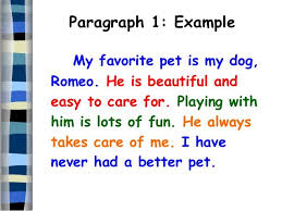 Expository Essay About Dogs Specialists Opinion Easy