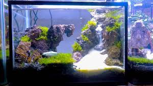 Promo murah tebing air terjun mini aquarium aquascape 20cm: Sejuknya Aquascape Air Terjun Mini Aquarium Air Tawar Youtube