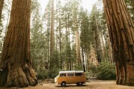 Campsites are categorized by area. Sequoia National Park Camping And Kings Canyon Camping Guide Sequoia National Park Camping National Park Camping Sequoia National Park