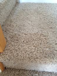 cats tear up carpet on stairs naturally