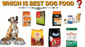 Hier findest du holistic dog food zum besten preis. Best Dog Foods For 2020 Https Petstutorial Com Best Dog Food Feed Id 62 Unique Id 5e28597b01cdf Pets Best Dog Food Best Dog Food Brands Dog Food Reviews