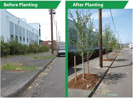 19,430 free images of tree planting. Sign Up For Free Trees Sign Up For Free Trees The City Of Portland Oregon