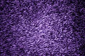 purple carpeting texture picture