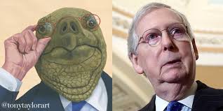 Последние твиты от mitch mcconnell looks like a dead turtle. Does Mitch Mcconnell Look Like A Turtle To You Album On Imgur