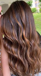 long dark hair with copper brown highlights