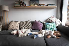 10 best sleeper sofas for 2023