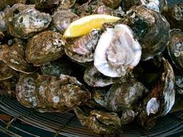 Louisiana Gulf Oysters - Carolina Fish Market