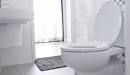 The Best Toilet for Your Home - The Home Depot