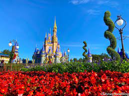Disney World Wallpapers From DFB ...
