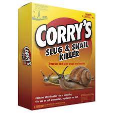 corry s slug snail ready to