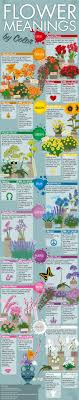 flower meanings by color r infographics