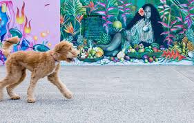 5 dog friendly places to enjoy art in