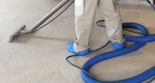 carpet cleaning companies arlington va