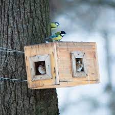 un abreuvoir pour oiseaux