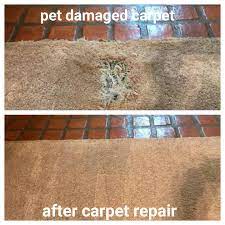 expert carpet repair carpet dyeing