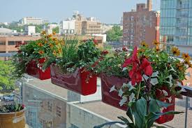 Railing Planters Hold Tight On High