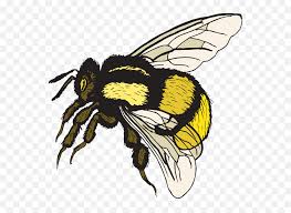 Cute bumble bee #1139213 by alex bannykh. Bumble Bee Cute Bee Clip Art Love Bees Bumblebee Clipart Emoji Bumblebee Emoji Free Transparent Emoji Emojipng Com