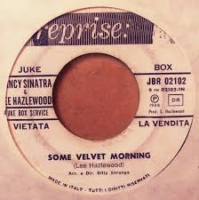 To connect with the morning lady's album. Nancy Sinatra Lee Hazlewood Some Velvet Morning Lady Bird 1968 Vinyl Discogs