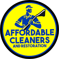 affordable cleaners