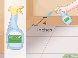 how to get rid of ants in the house 11