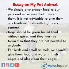 essay on my pet my pet