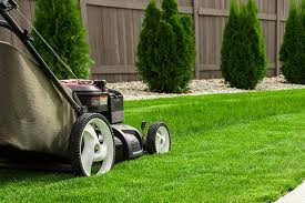 Lawn Care Tips Miko Lawn And