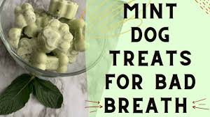 diy breath mints for dogs dog treat