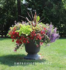 Colorful Flower Pot Ideas For Home Gardens