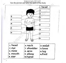 Engaging esl parts of the body games, activities and worksheets to help your students learn and practice body parts vocabulary and language. Cbse Class 1 Evs Parts Of The Body Worksheet Practice Worksheet For Environmental Studies