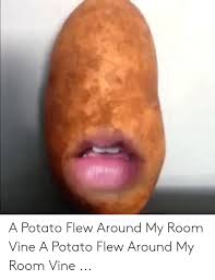 A potato flew around my room by askthemarionettefnaf on look into these remarkable potato flew around my room and allow us know what you believe. A Potato Flew Around My Room Vine A Potato Flew Around My Room Vine Vine Meme On Me Me