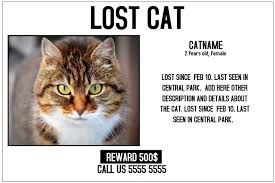 Lost Cat Lost Pet Landscape Poster Template Postermywall