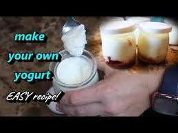 mueller yogurt maker