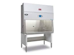 tissue culture hood biosafety cabinet