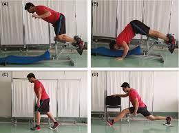 the modified nordic hamstring exercise