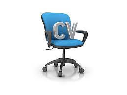 Professional CV Writer       Great Reviews  FREE CV Audit  CV    