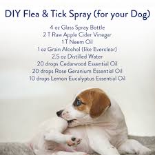 essential oil for ticks diy spray
