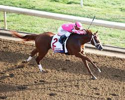 Kentucky Derby Whos Hot Whos Not For April 10 2019