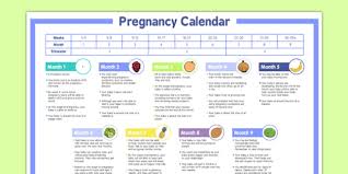 Pregnancy Calendar Guide