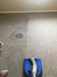 best 30 carpet cleaning in fort wayne