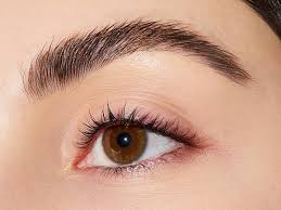 bushy eyebrows how to style them in 4