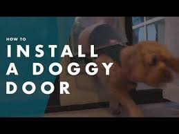 How To Install A Portable Doggy Door