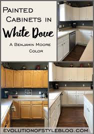 Painted Kitchen Cabinets In White Dove