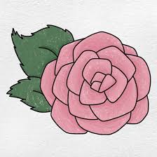 how to draw a rose for beginners